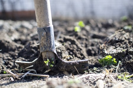 orto biologico: preparazione terreno