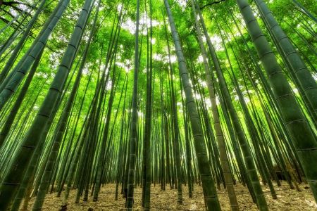 Sgabello da Bagno in bambu Naturale con Panca Ripiano Portaoggetti bamboo